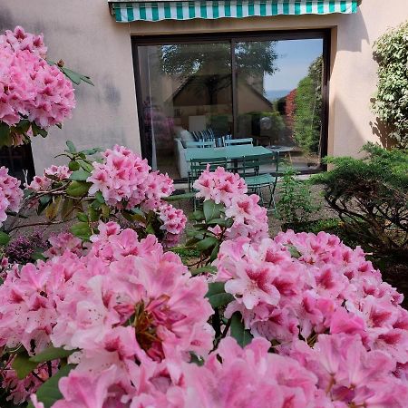 Apartmán Le Denyspuech 55M2 Plein Centre Avec Jardin! Rodez Exteriér fotografie