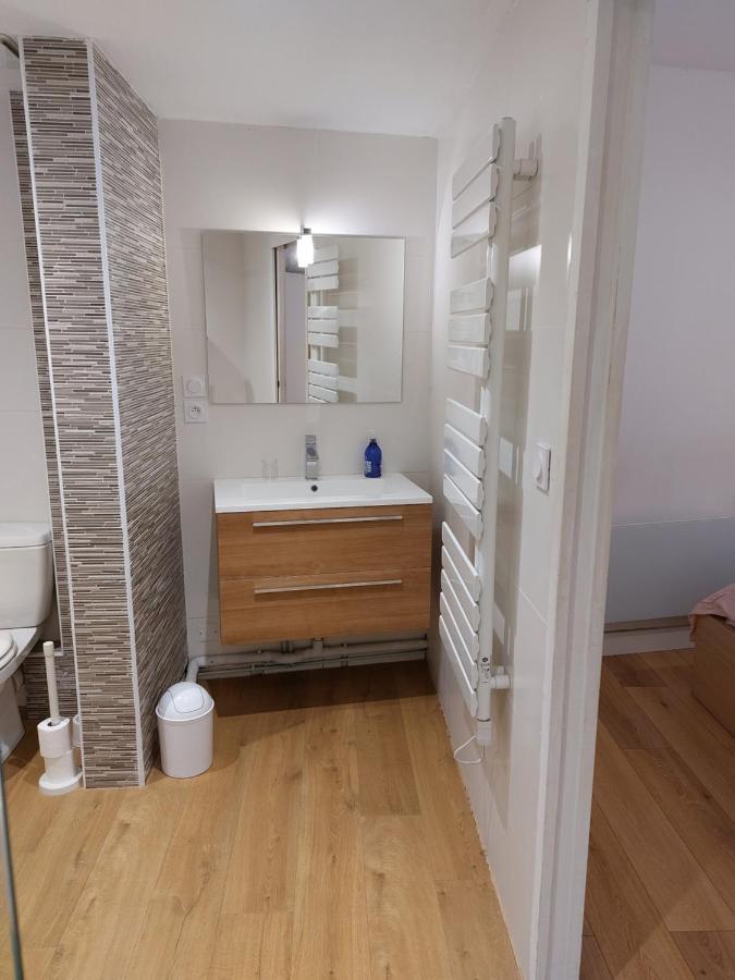 Apartmán Le Denyspuech 55M2 Plein Centre Avec Jardin! Rodez Exteriér fotografie